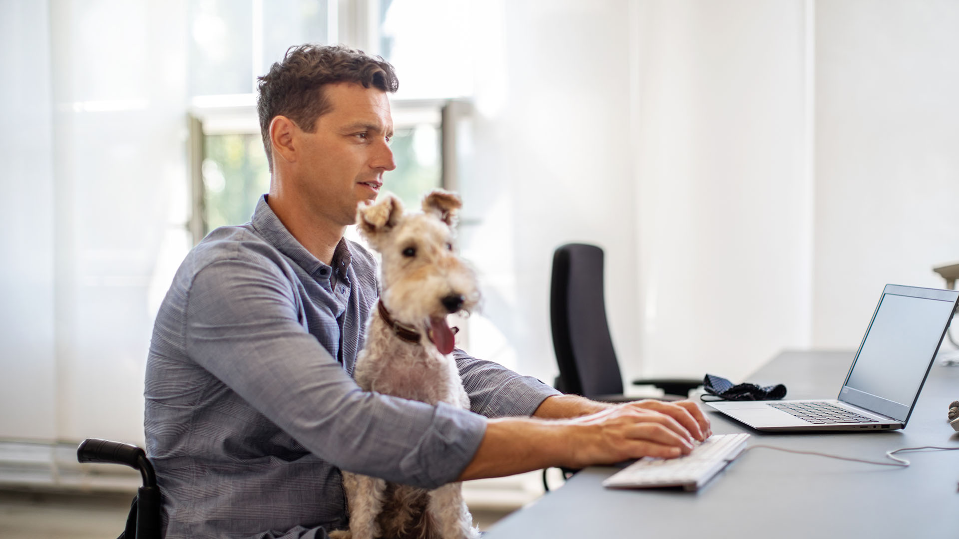 Venez découvrir le fabuleux univers des Chiens Guides