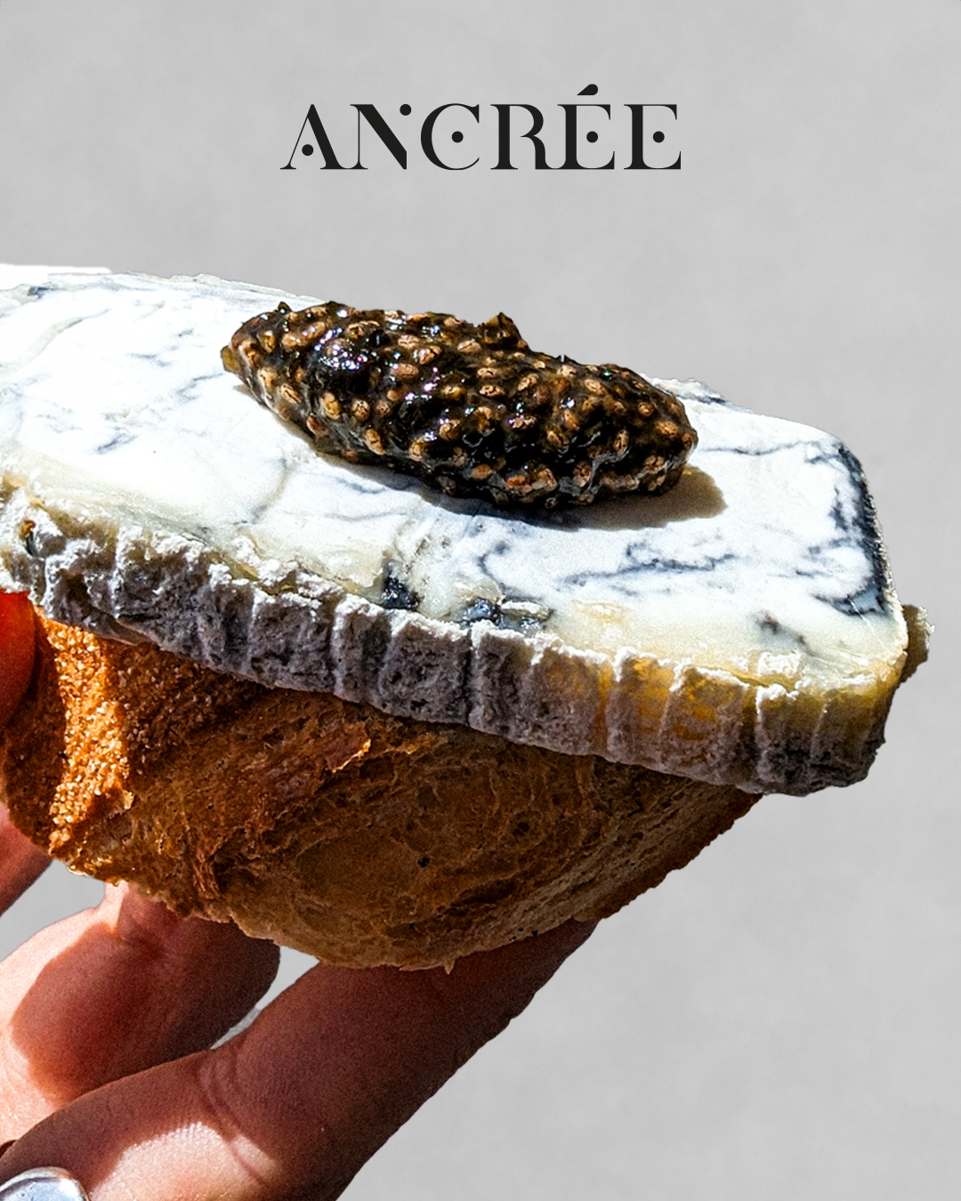 Ancrée, le premier condiment gastronomique marin raffiné, engagé et français