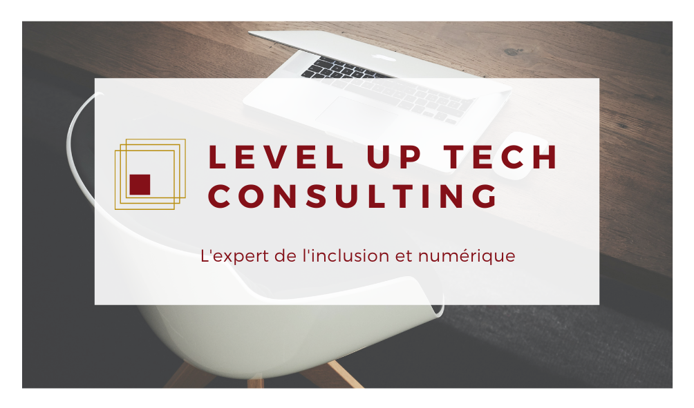 Level up tech consulting