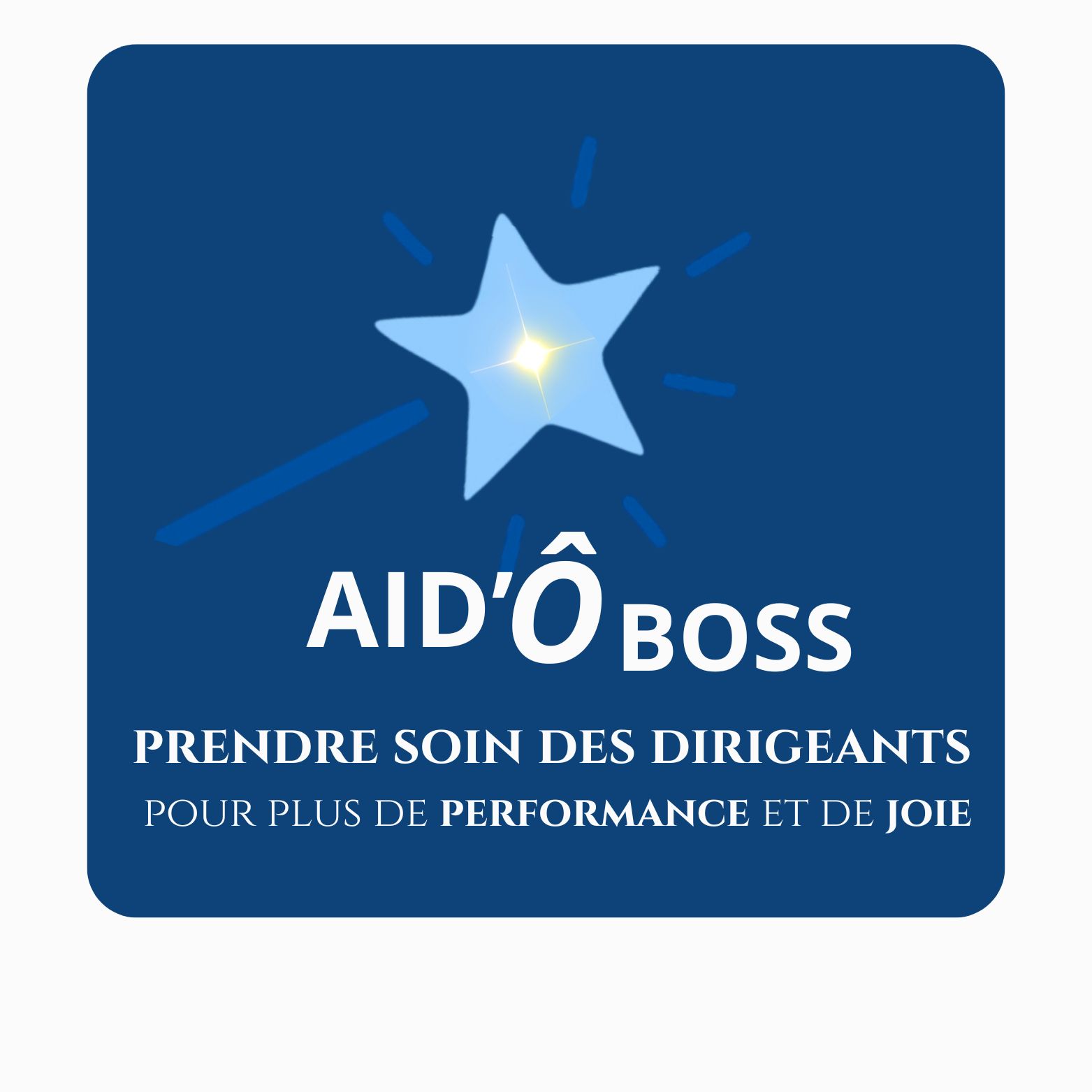 AID Ô BOSS