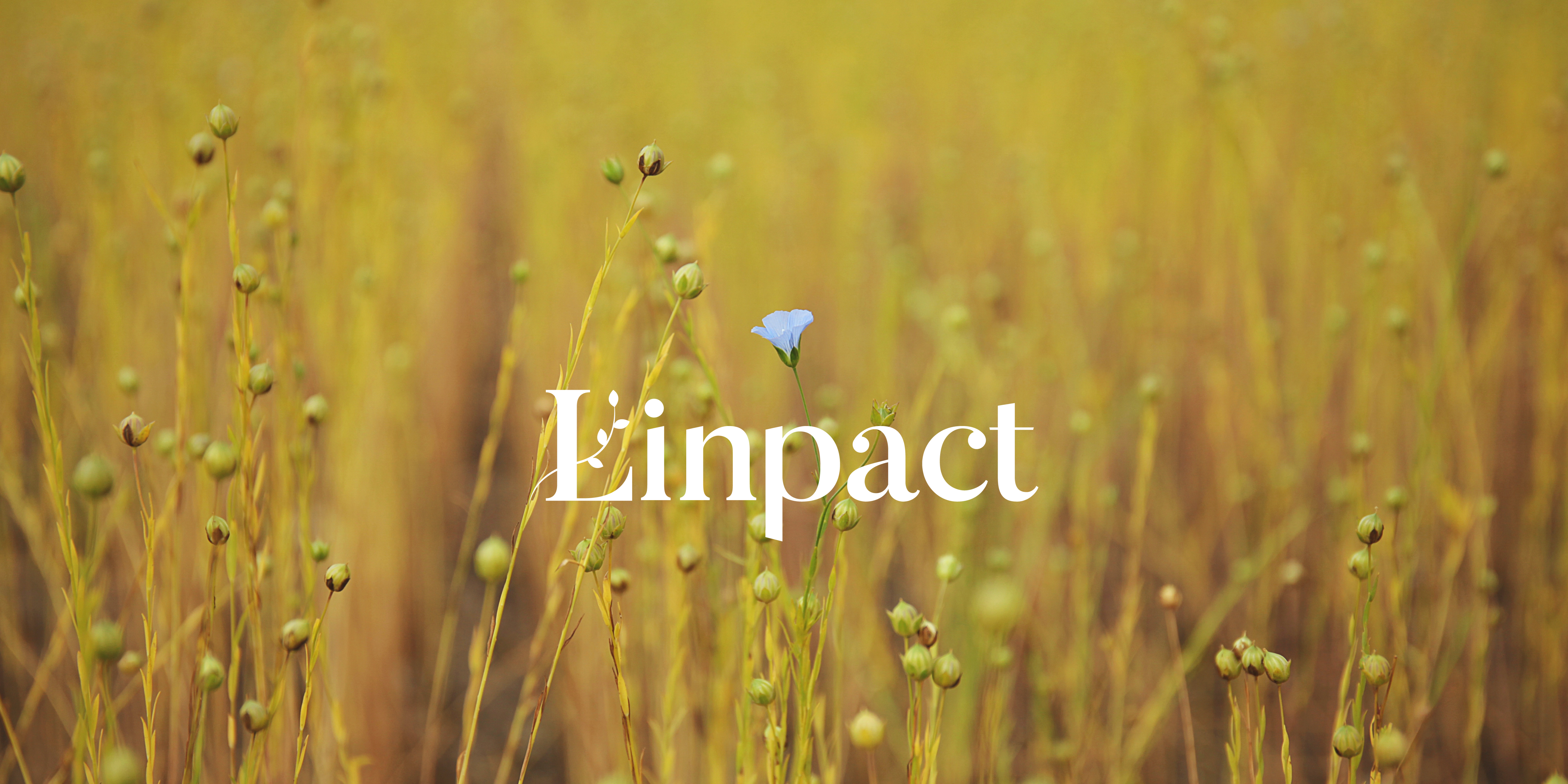 Linpact