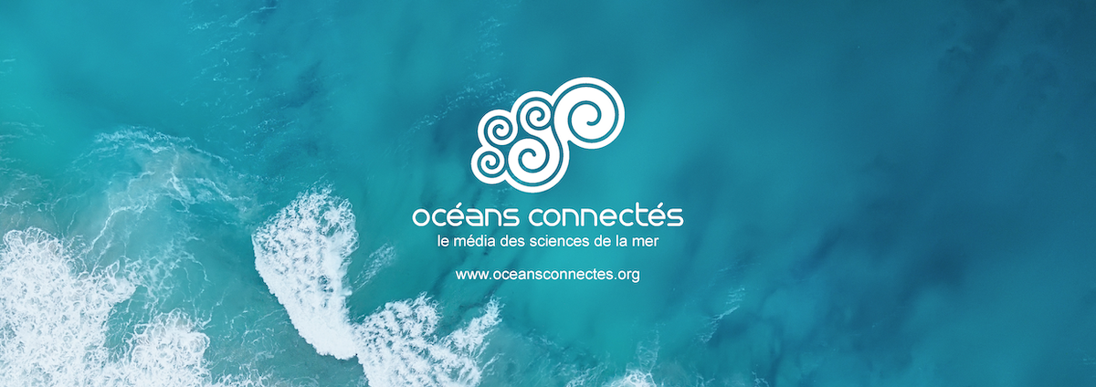 OCÉAN CONNECTÉS