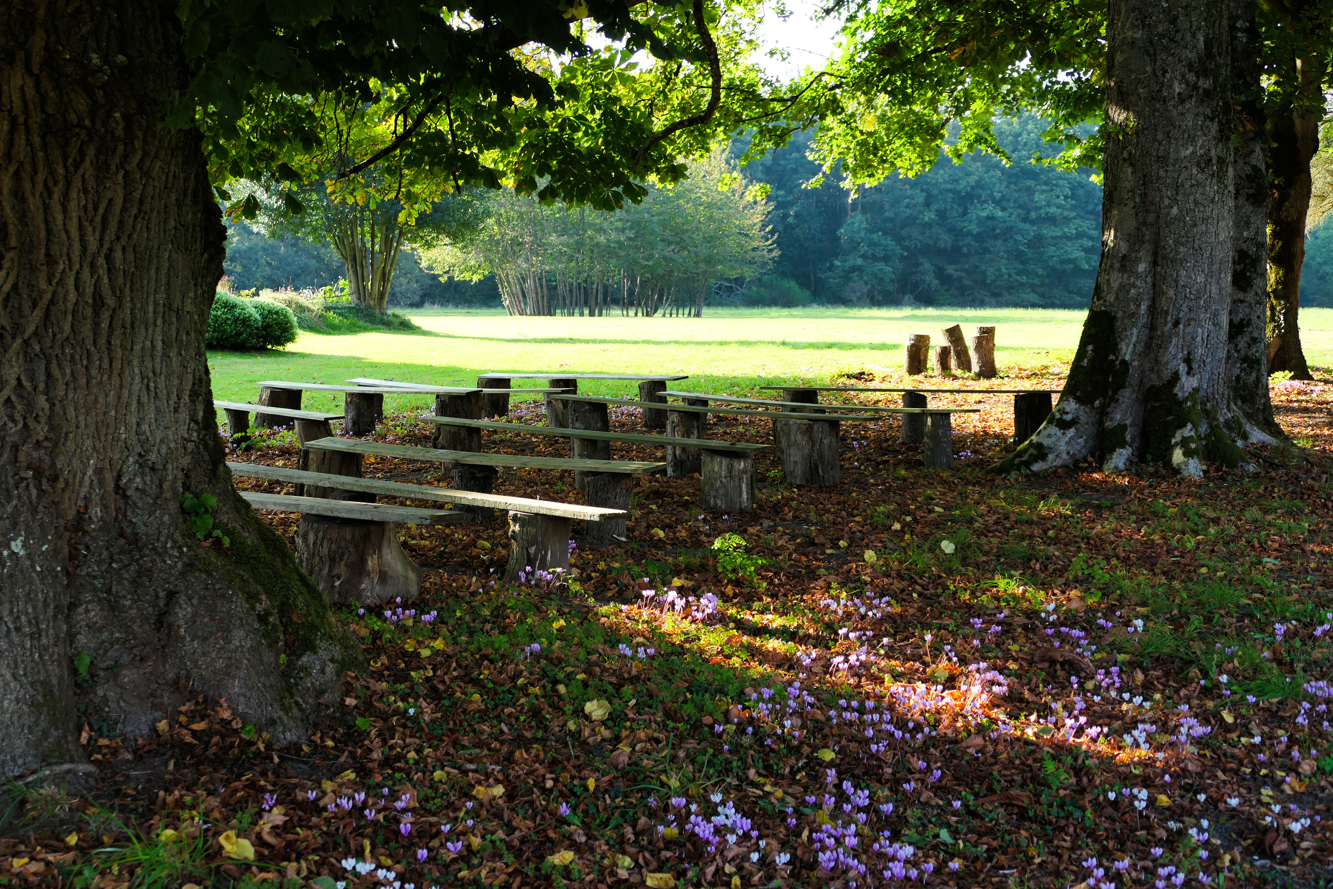 Jardins - Château de la Forêt