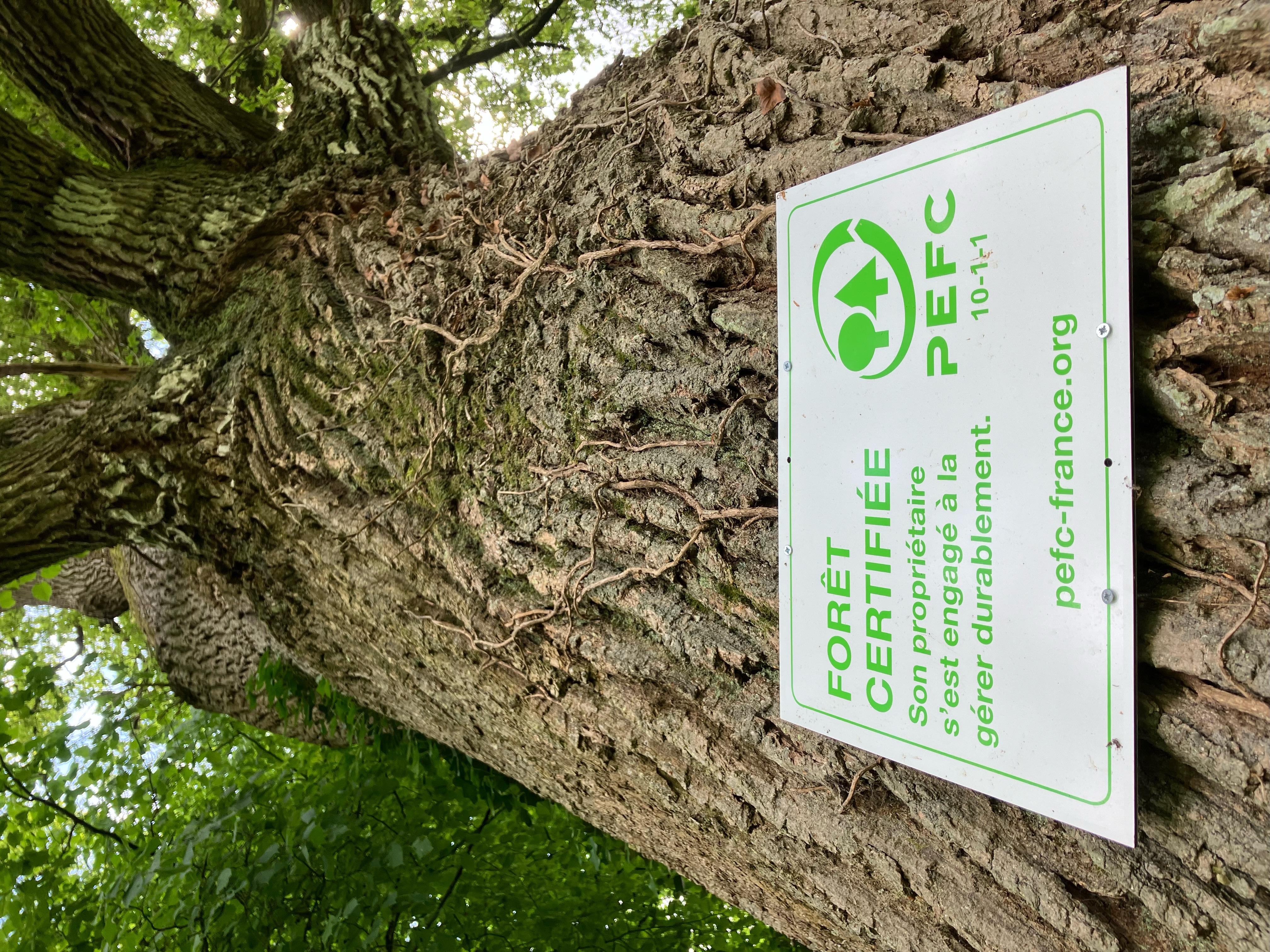 Forêt Certifiée PEFC